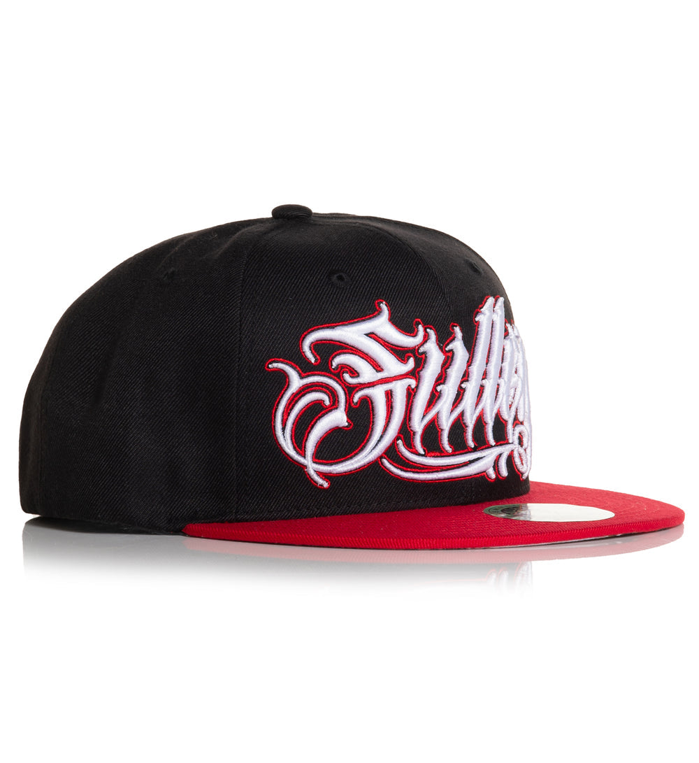 UPS AND DOWNS SNAPBACK